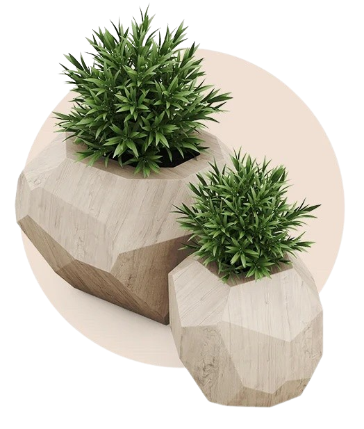Two plants in stylish geometric planters